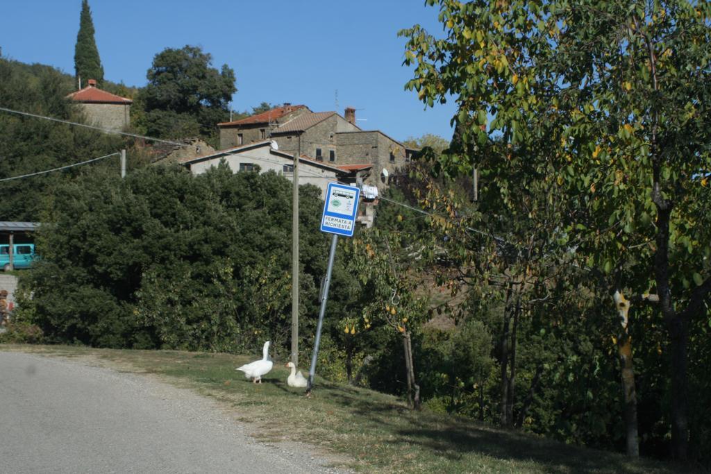 Gasthaus L'Ariete Montone  Exterior foto